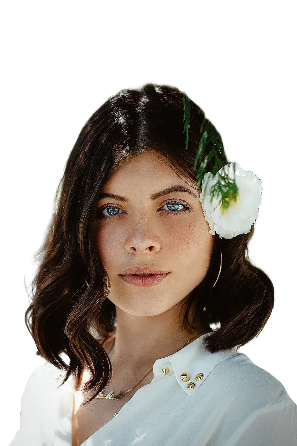 Background removed — transparent PNG - after